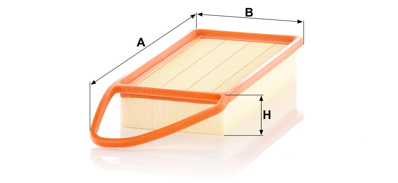 Product Image C3087/2_MANN-FILTER