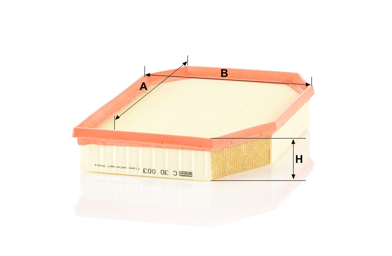 Product Image C30003_MANN-FILTER