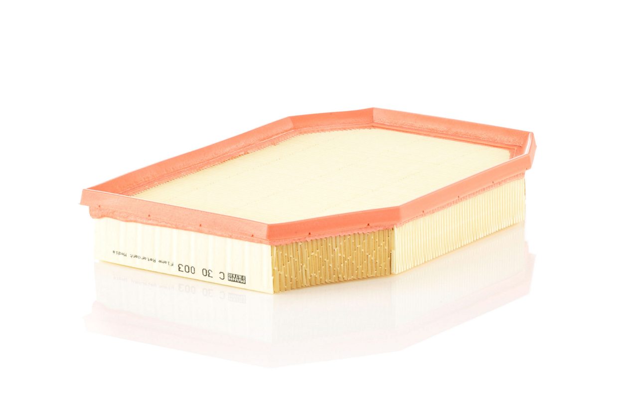 Product Image C30003_MANN-FILTER
