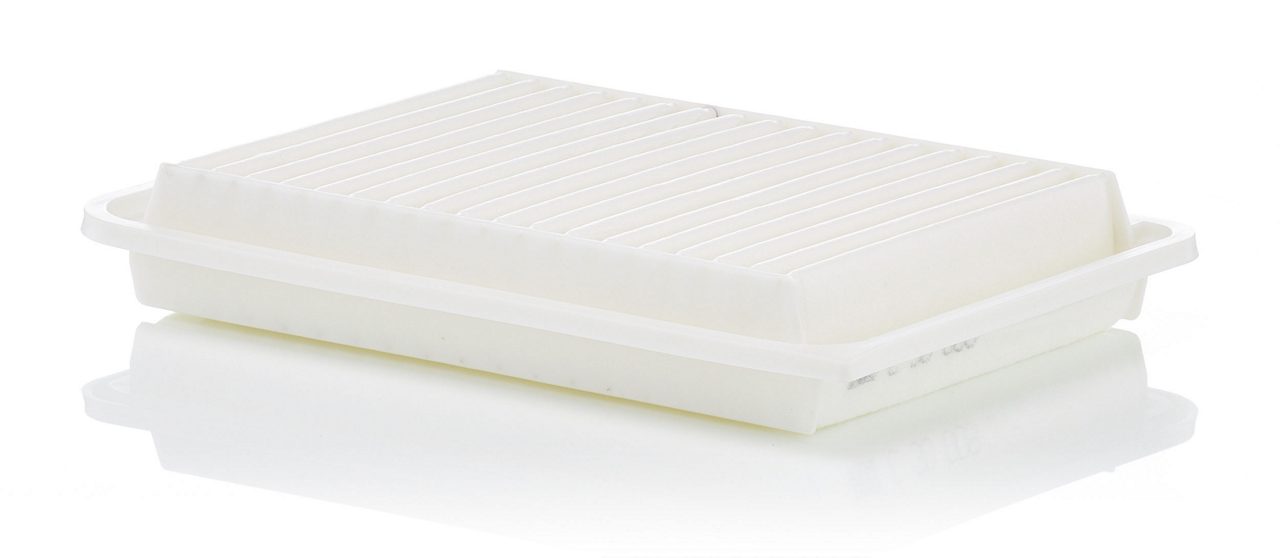 Product Image C30009_MANN-FILTER