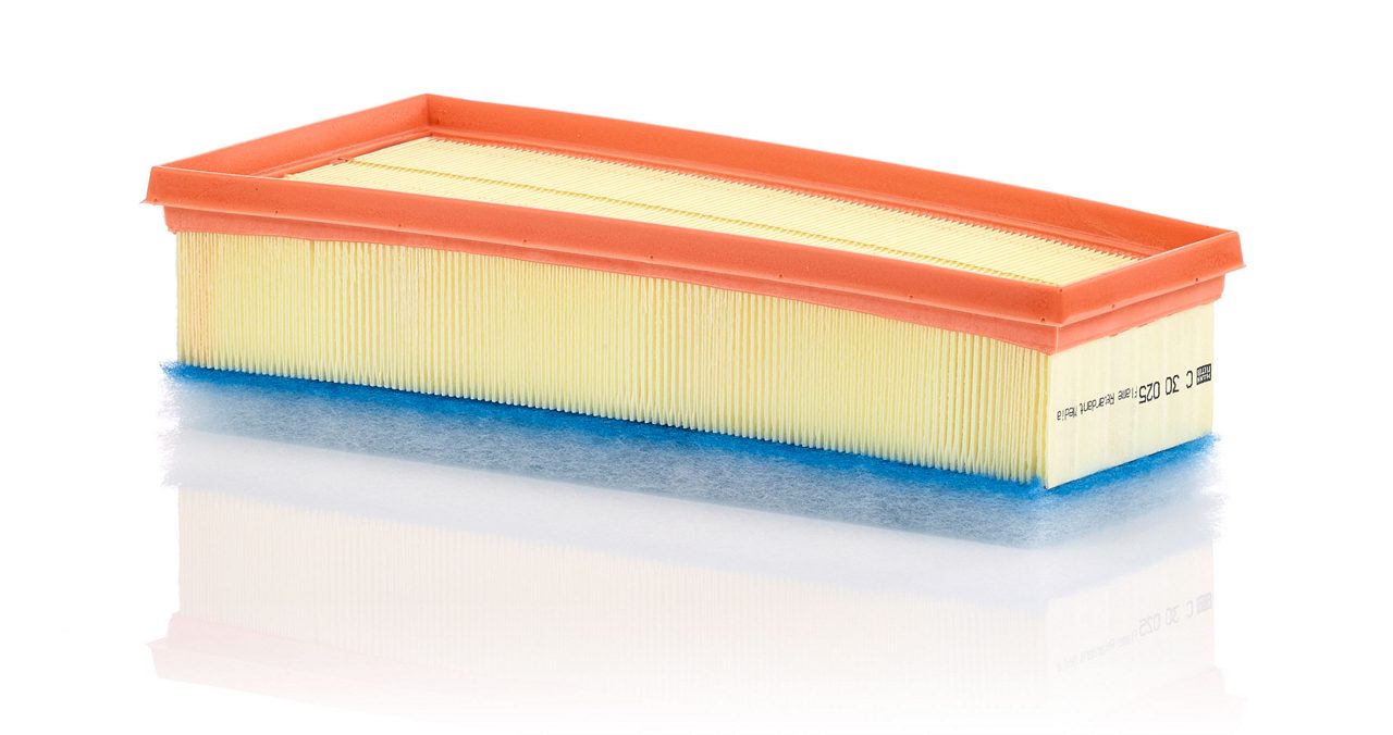 Product Image C30025_MANN-FILTER