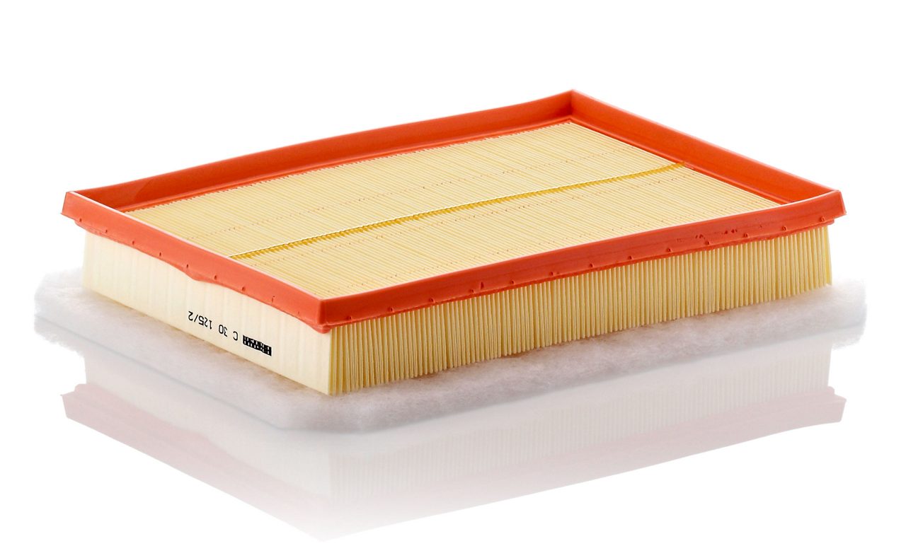 Product Image C30125/2_MANN-FILTER