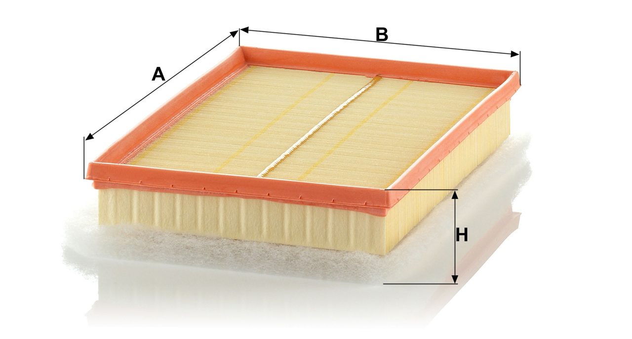 Product Image C30125/3_MANN-FILTER