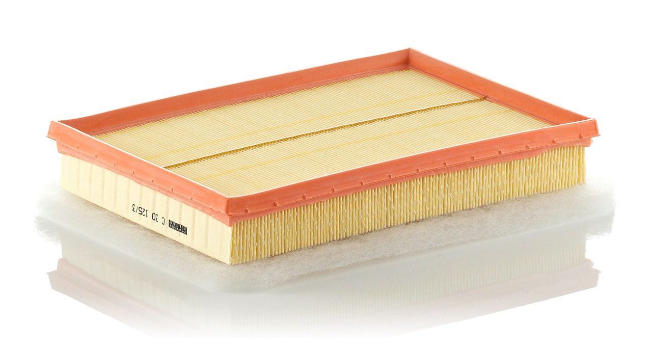 Product Image C30125/3_MANN-FILTER