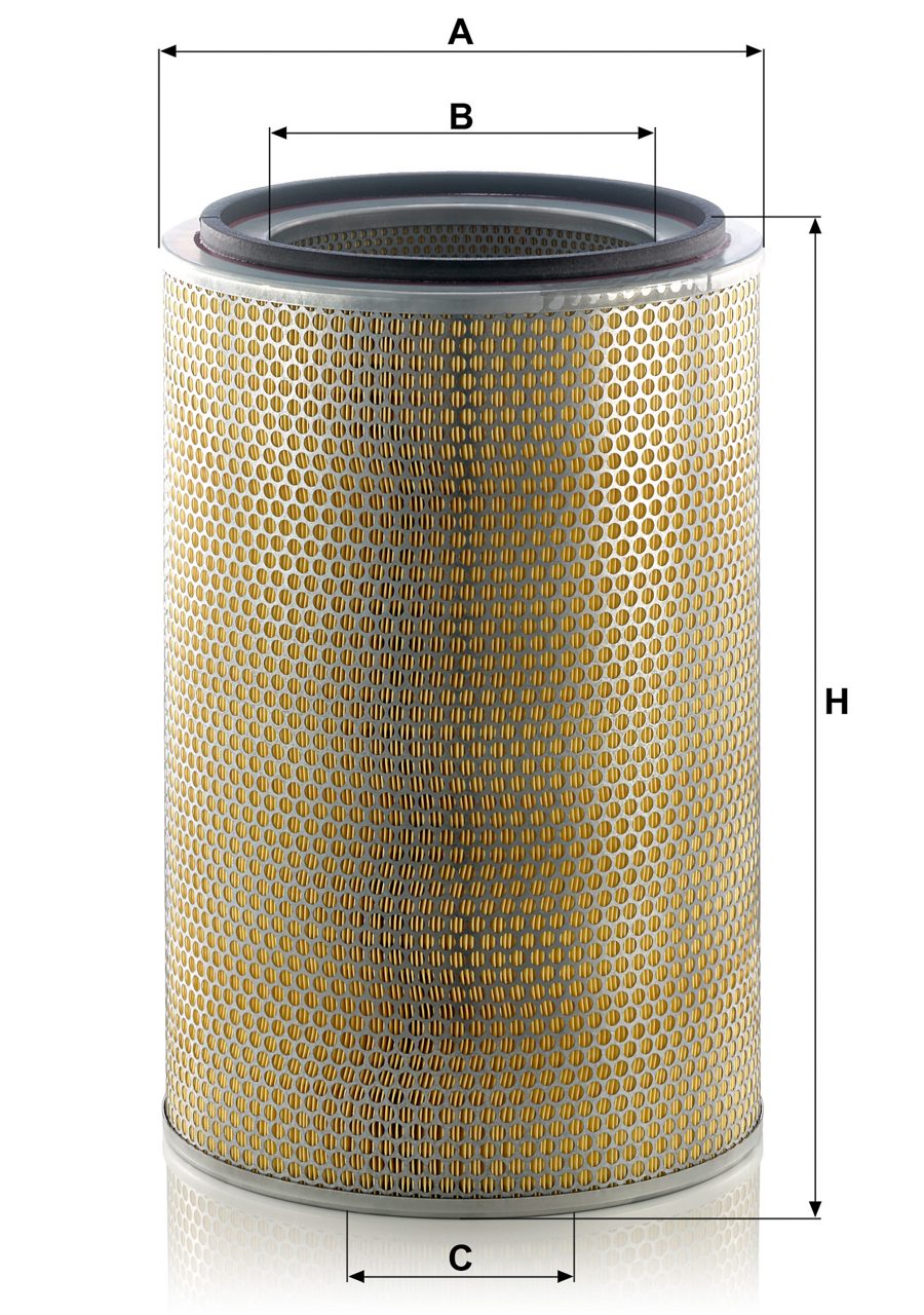 Product Image C31013_MANN-FILTER
