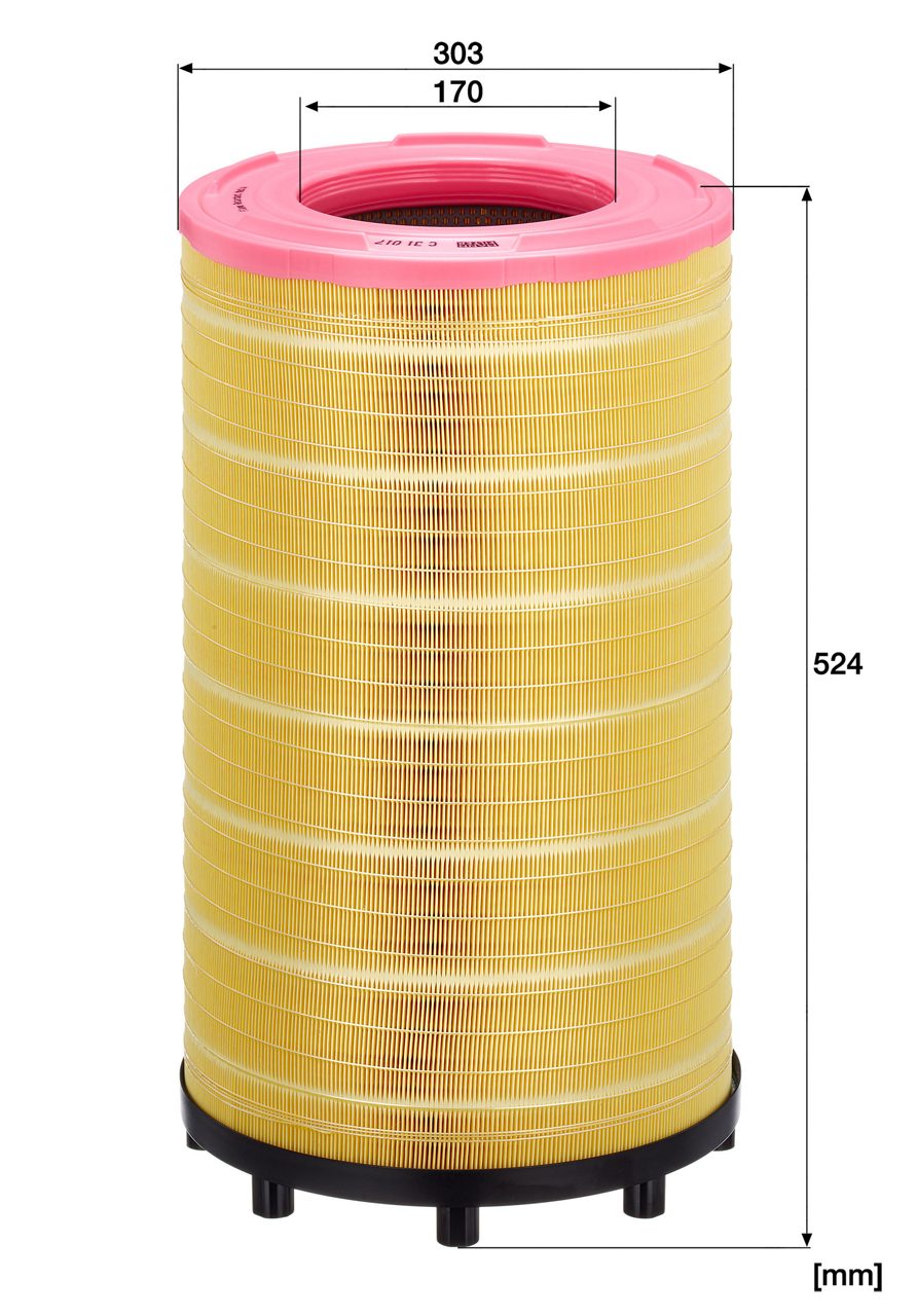 Product Image C31017_MANN-FILTER