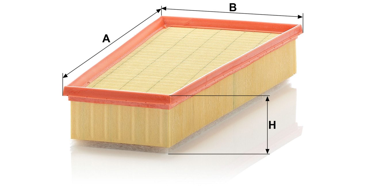 Product Image C32123/1_MANN-FILTER