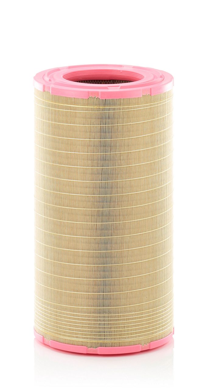 Product Image C321900/2_MANN-FILTER
