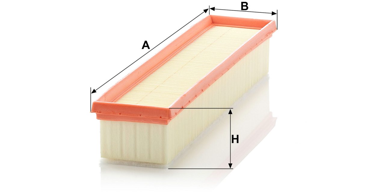 Product Image C3875/1_MANN-FILTER