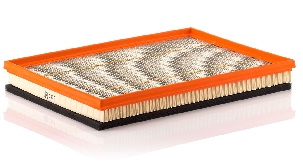 Product Image C4019_MANN-FILTER