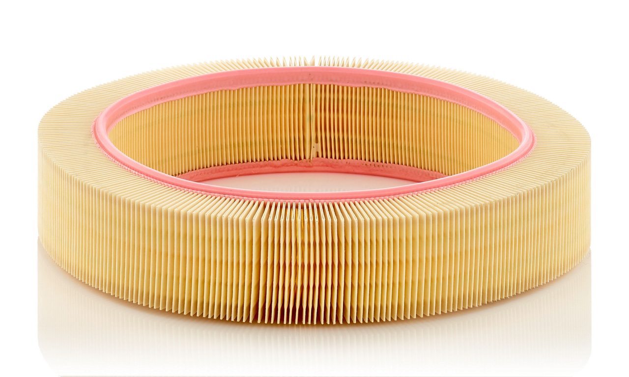 Product Image C40174_MANN-FILTER