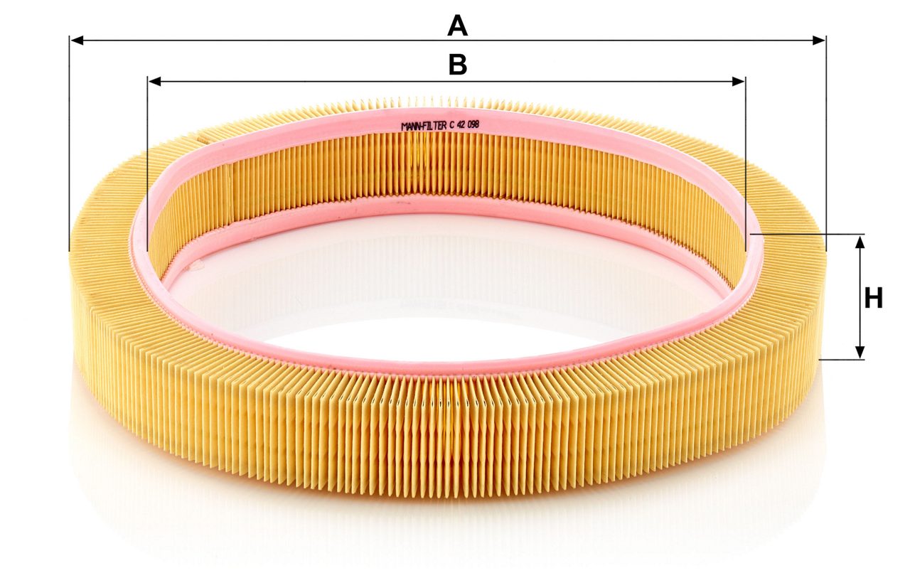 Product Image C42098_MANN-FILTER