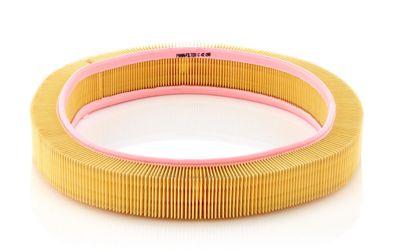 Product Image C42098_MANN-FILTER
