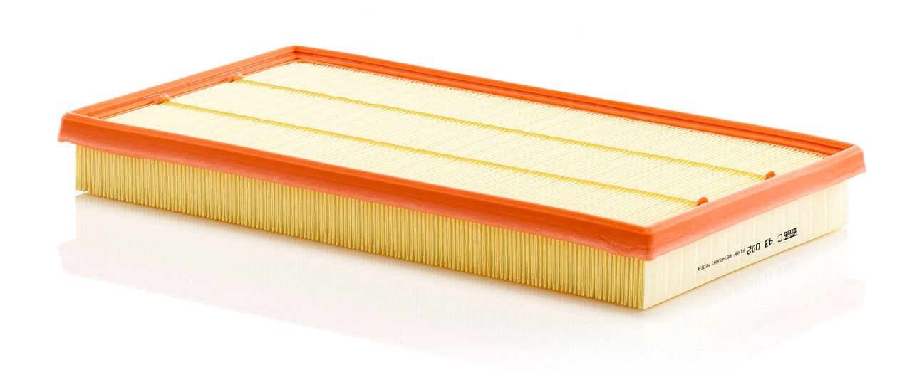 Product Image C43002_MANN-FILTER