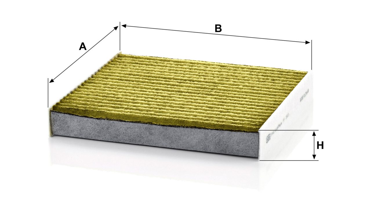Product Image FP1919_MANN-FILTER