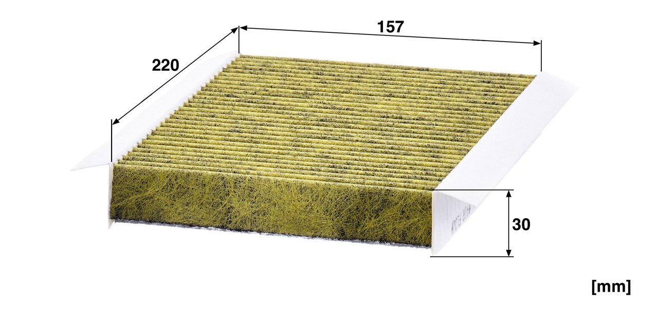 Product Image FP22022_MANN-FILTER