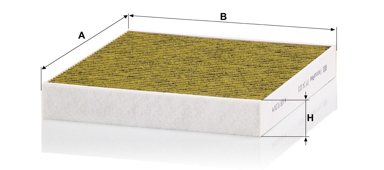 Product Image FP24003_MANN-FILTER