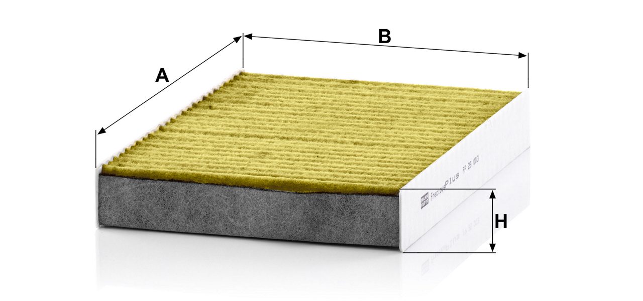 Product Image FP25003_MANN-FILTER