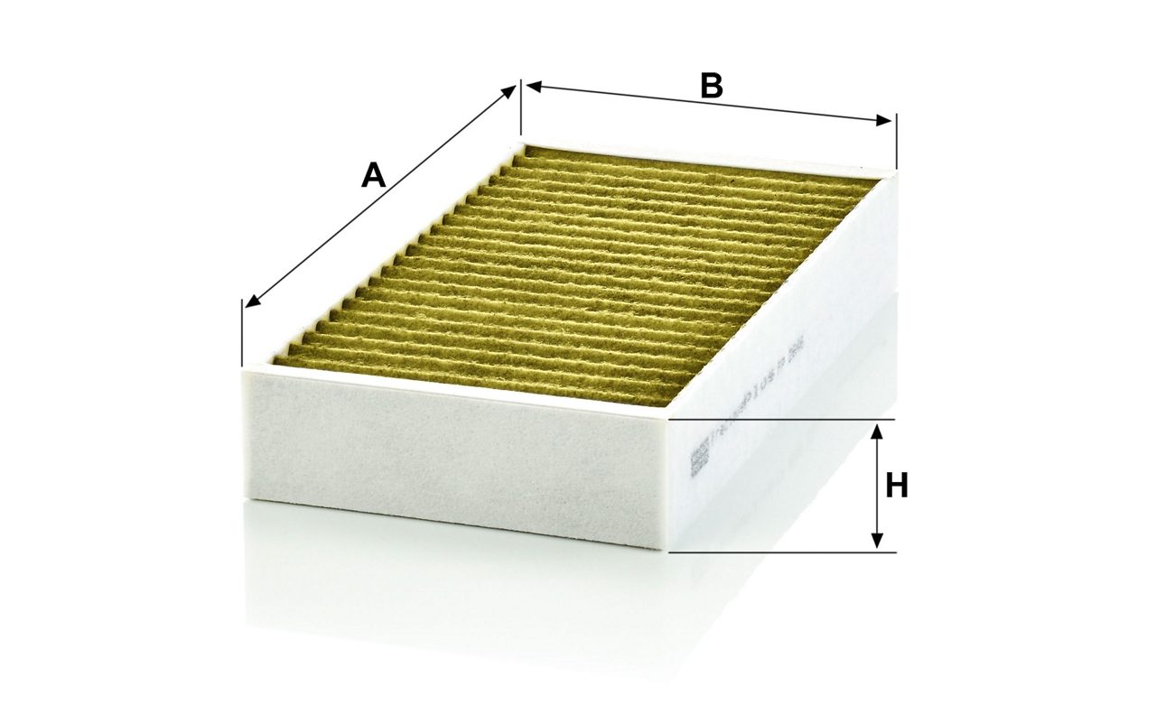Product Image FP2646-2_MANN-FILTER