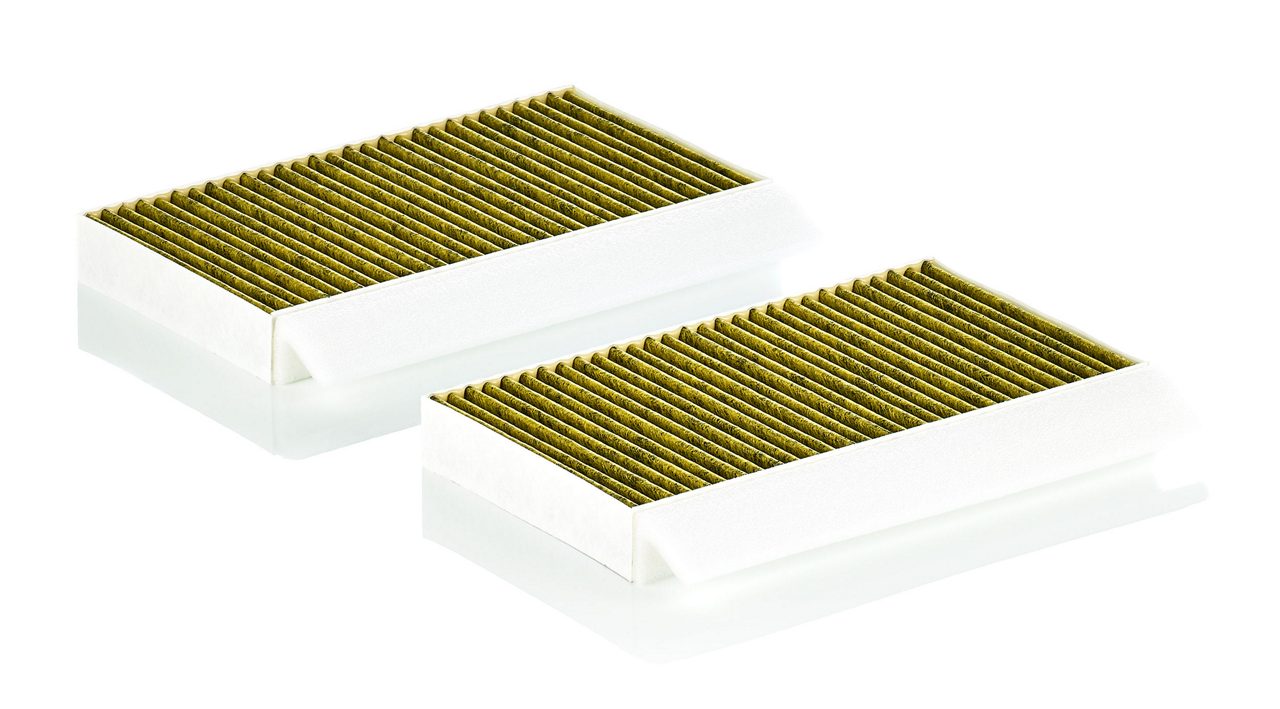 Product Image FP27021-2_MANN-FILTER
