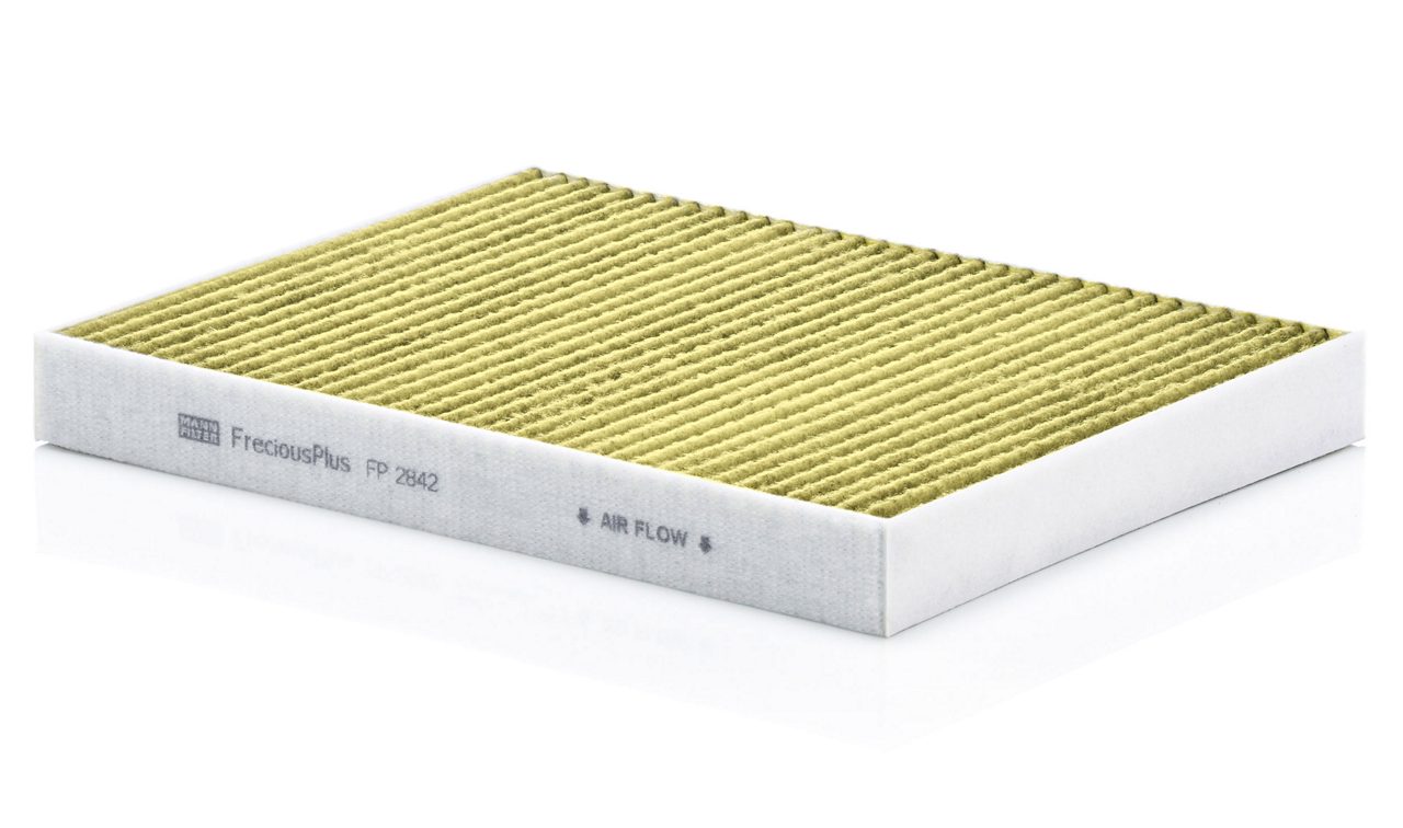 Product Image FP2842_MANN-FILTER