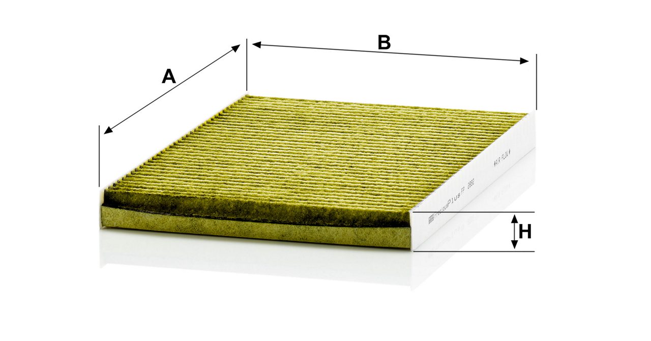 Product Image FP2882_MANN-FILTER