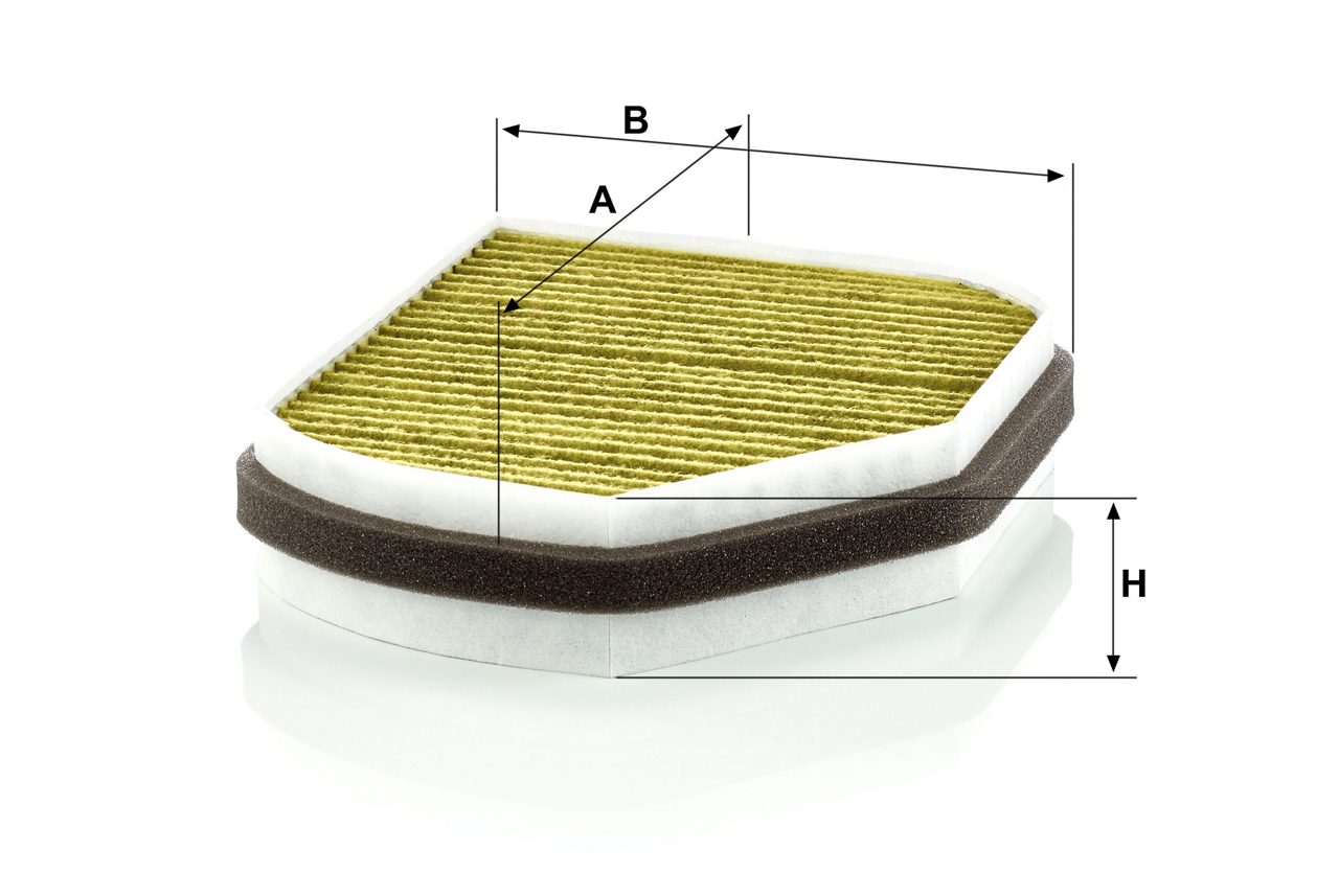 Product Image FP2897_MANN-FILTER
