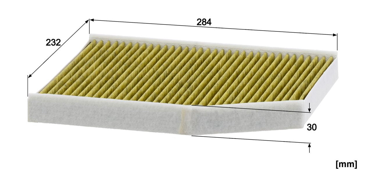 Product Image FP29007_MANN-FILTER