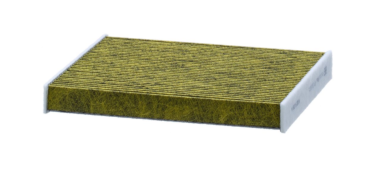 Product Image FP29010_MANN-FILTER