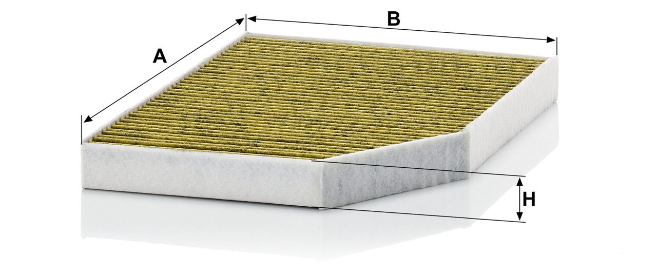 Product Image FP30007/1_MANN-FILTER