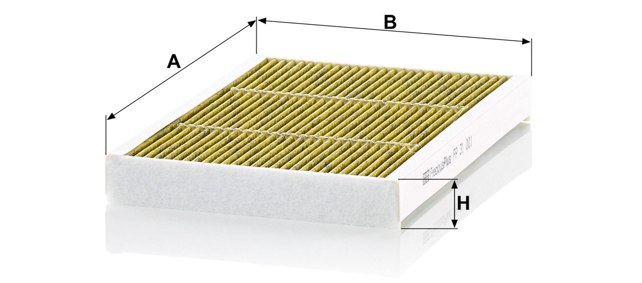 Product Image FP31001_MANN-FILTER