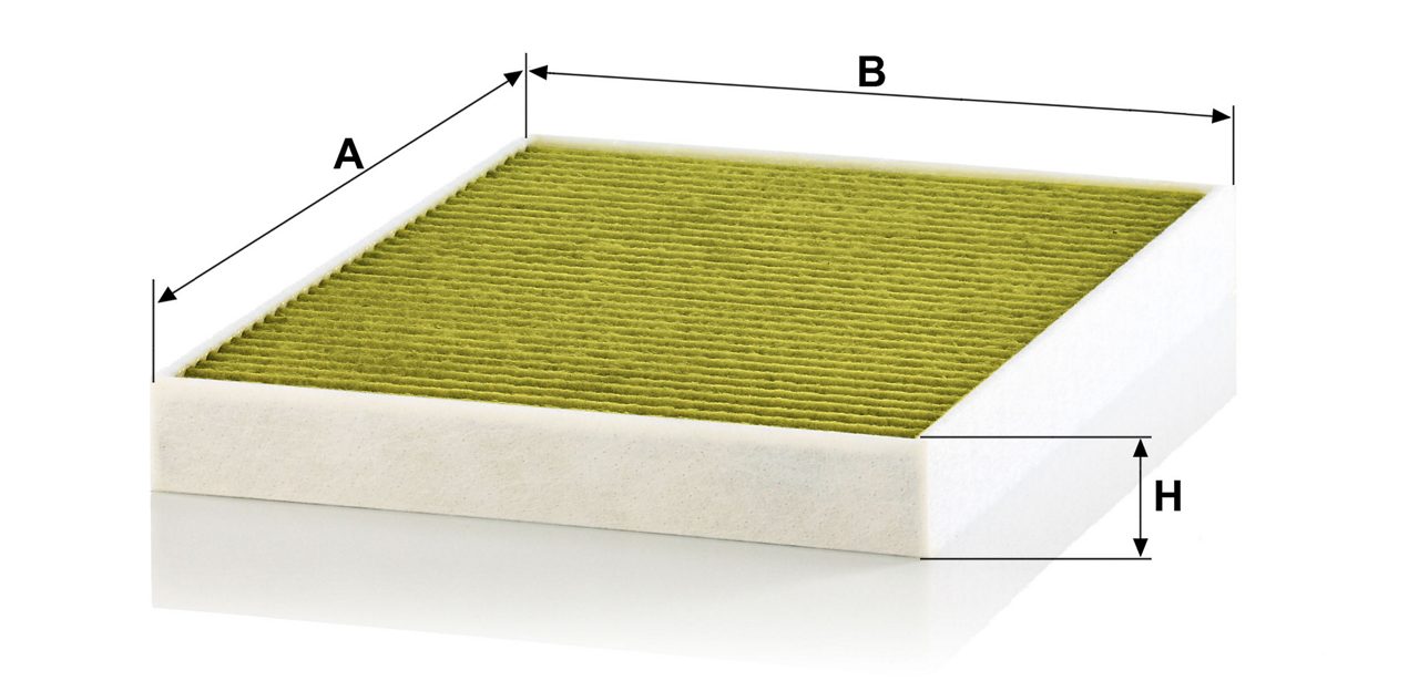Product Image FP31003_MANN-FILTER