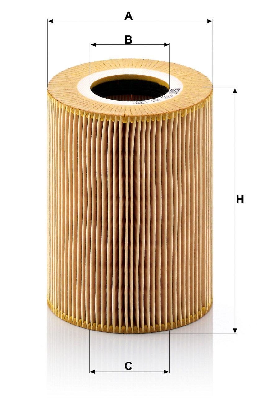 Product Image HU1381X_MANN-FILTER