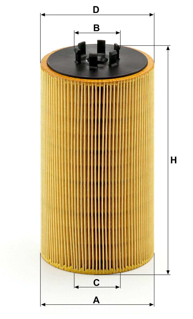 Product Image HU13125X_MANN-FILTER
