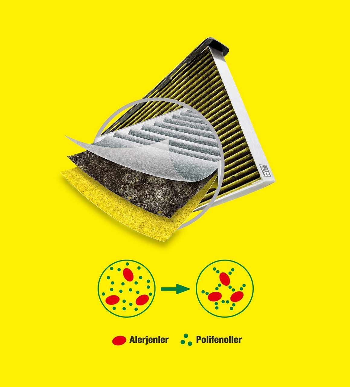 Cabin air filter with polyphenol: FreciousPlus by MANN-FILTER