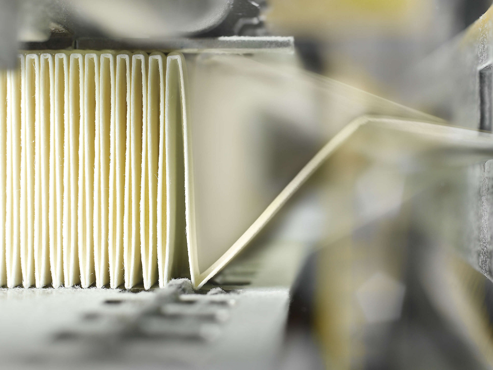 Filtertechnologien für die Schweinezucht, exklusiv von MANN+HUMMEL