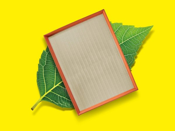 Lignin-Portfolio weiter ausgebaut