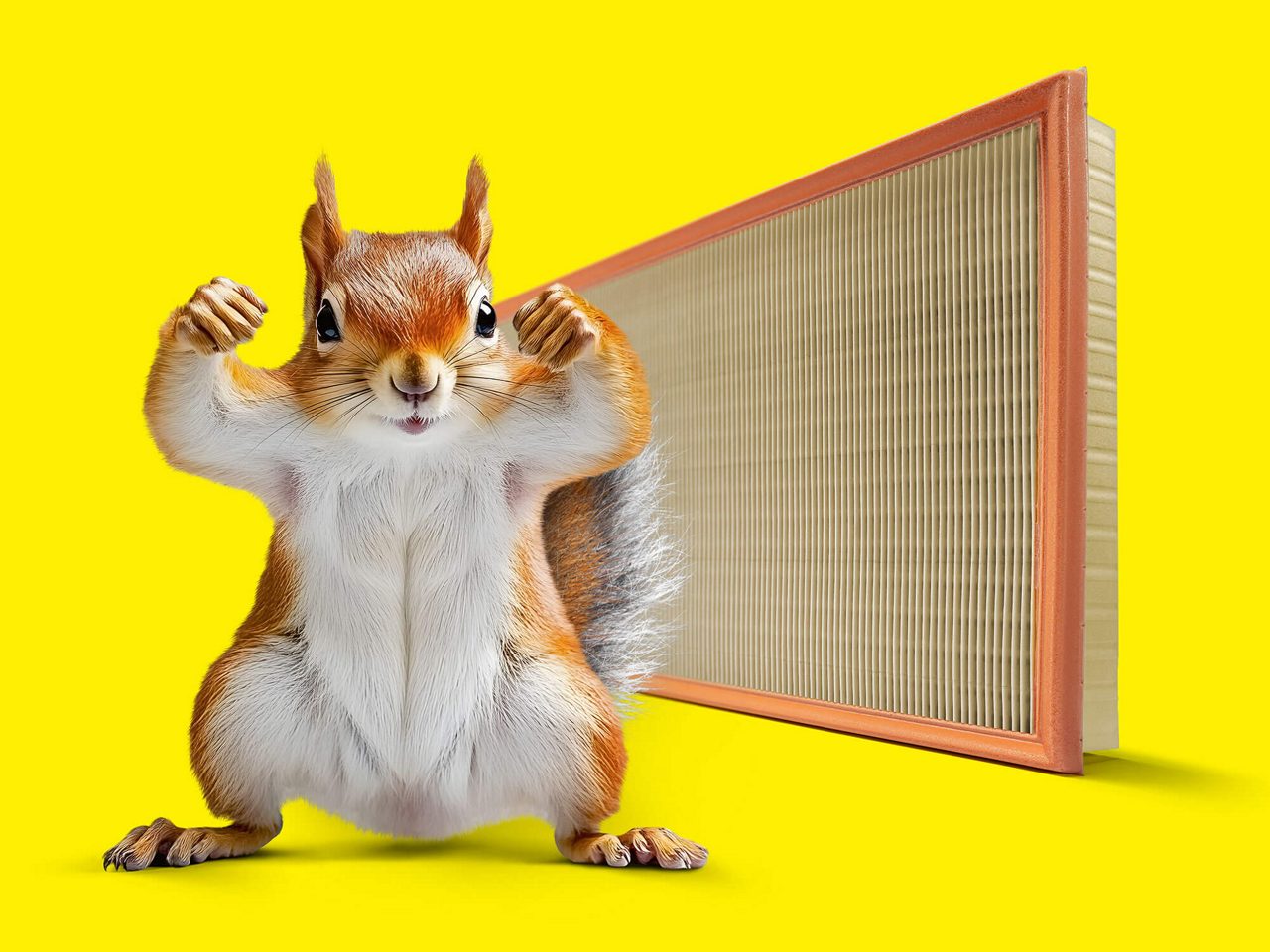 Mit der Kraft der Natur.  Filter der nächsten Generation mit Imprägnierung auf Holzbasis.