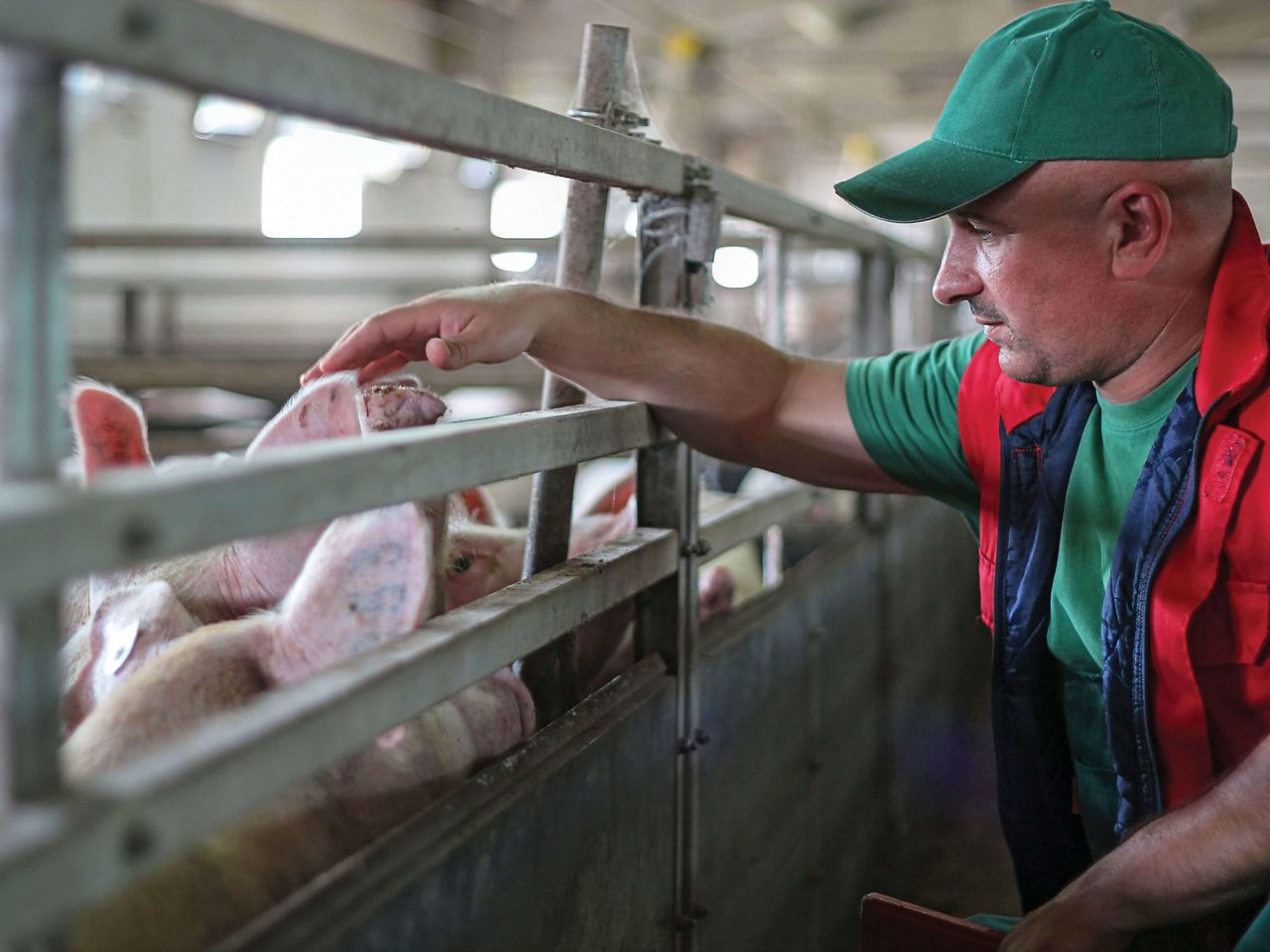 Agricultural filters for swine farms, by MANN+HUMMEL