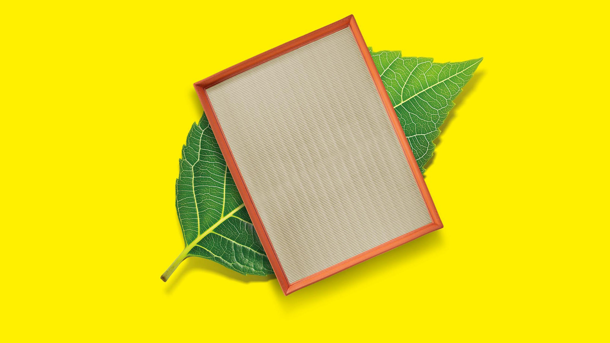 MANN-FILTER air filter with wood-based impregnation with lignin