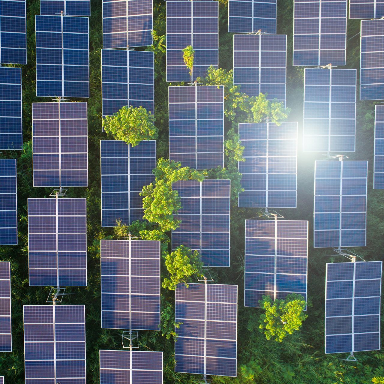 solar panel