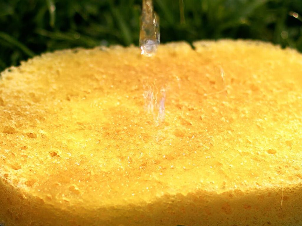 absorption explained