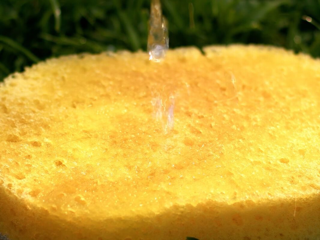 absorption explained