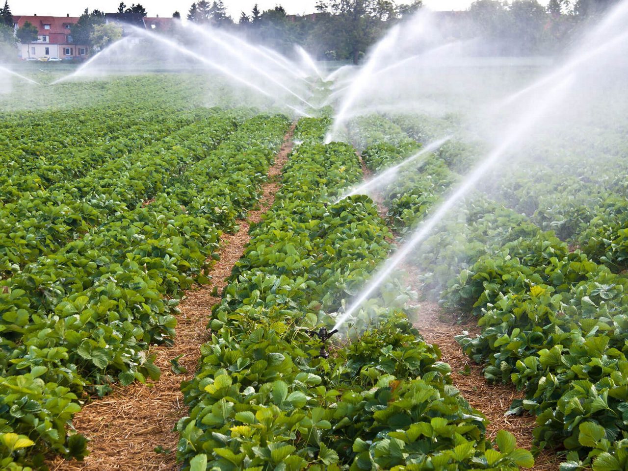 Filter für Fahrzeuge, Indoor Farming, Wasseraufbereitung & Schweinezucht