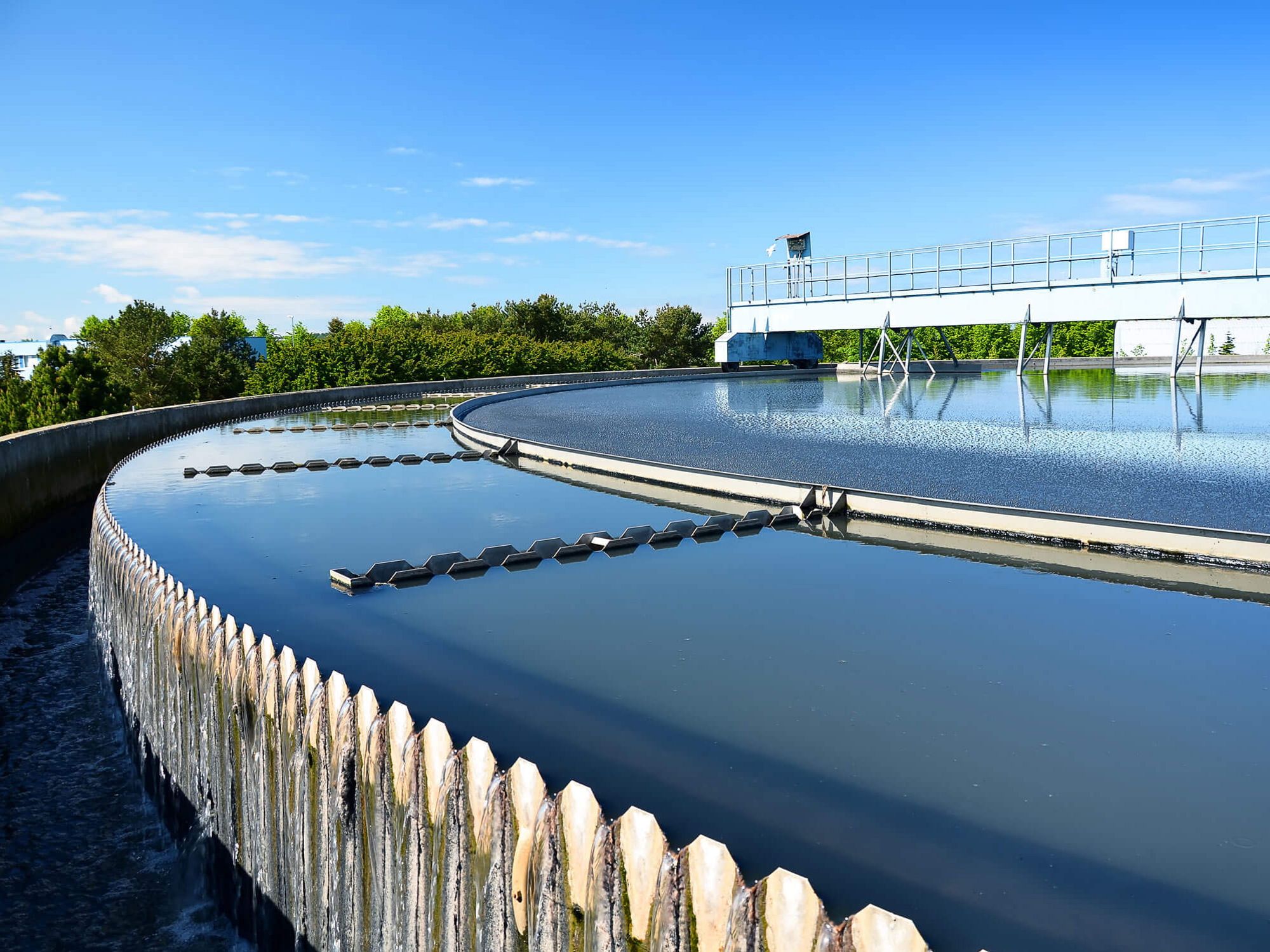 Innovation and sustainability for a better future