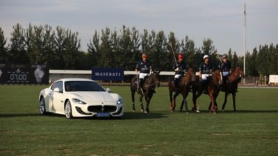 maserati polo