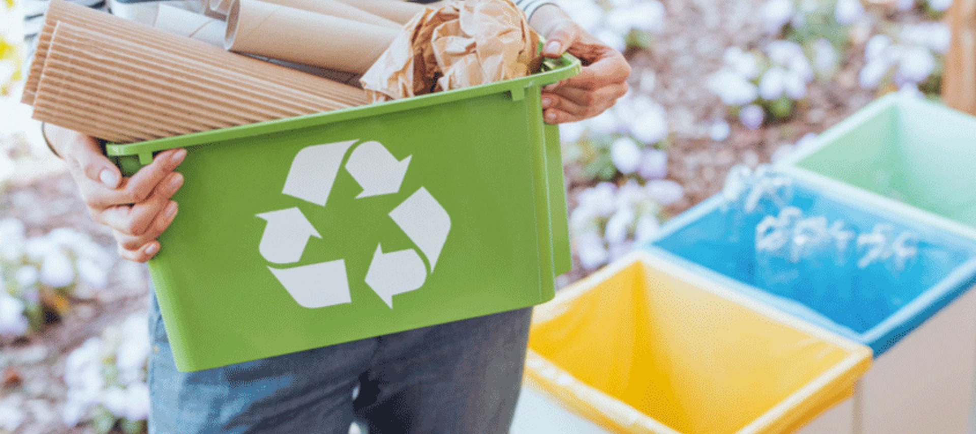 Person hält eine grüne Recyclingbox mit Papier