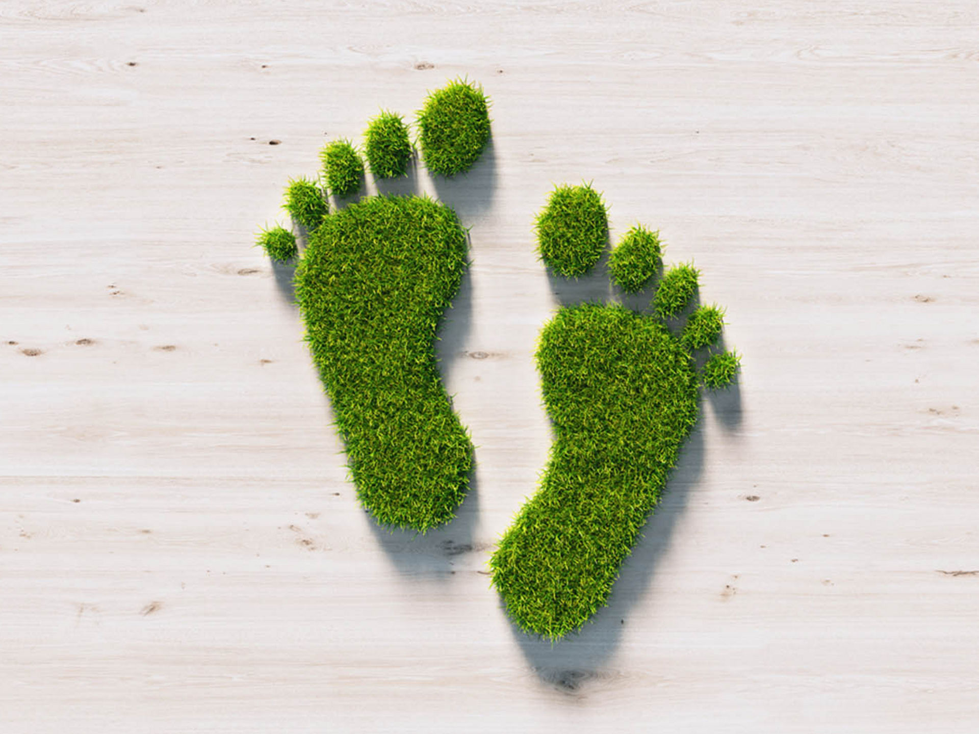 Zwei Fußabdrücke aus grünem Gras auf hellem Holzuntergrund 