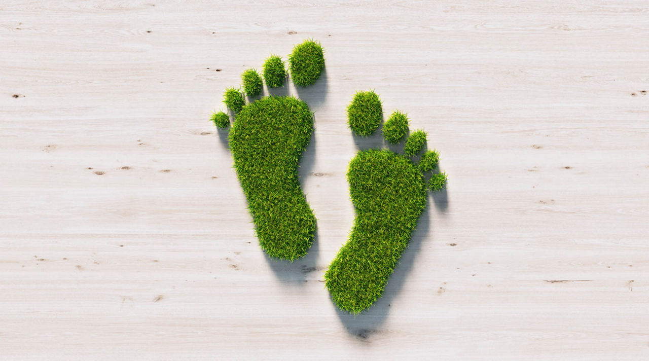 Zwei Fußabdrücke aus grünem Gras auf hellem Holzuntergrund 