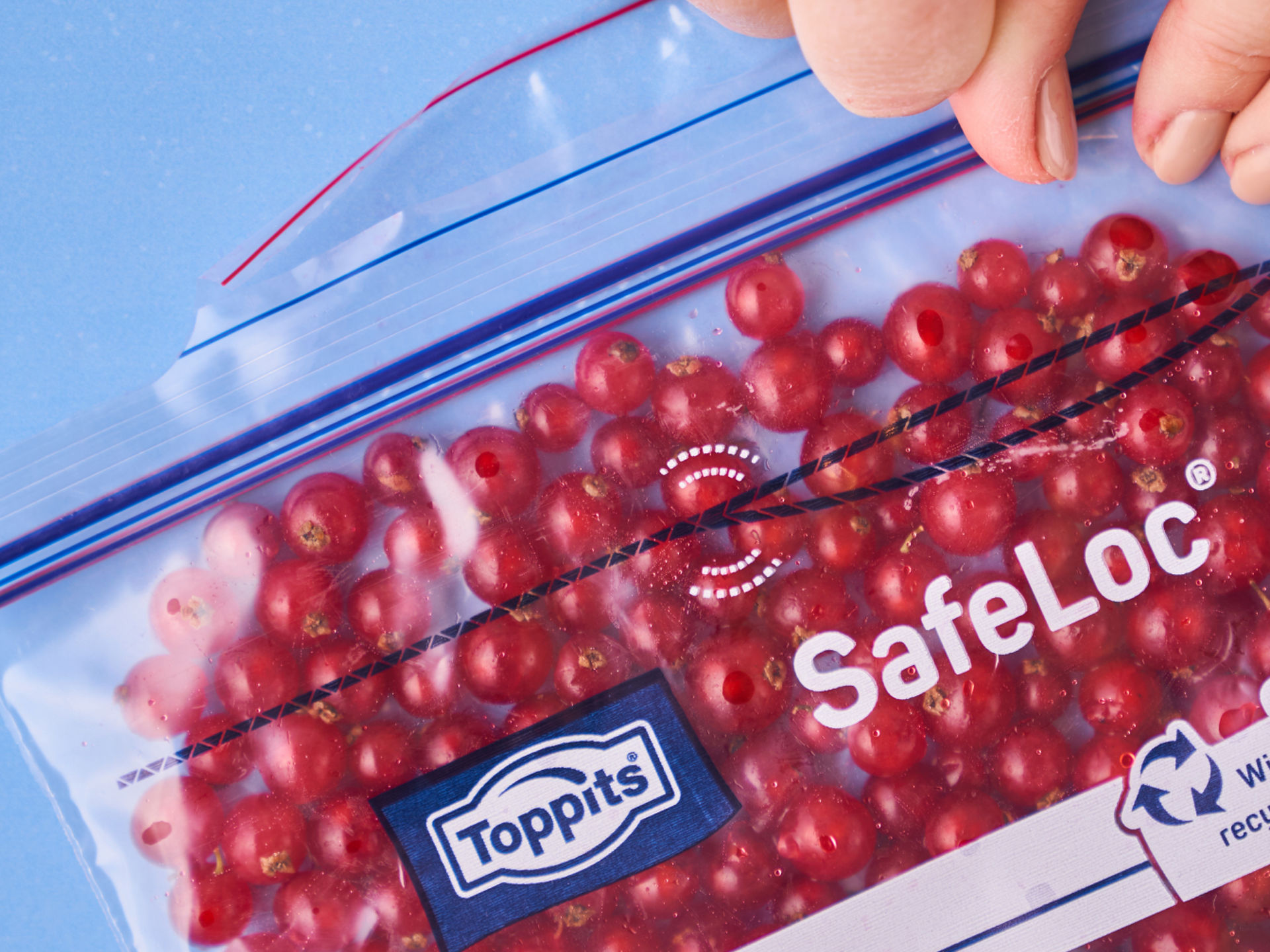 Gefüllter Toppits SafeLoc Beutel mit Johannisbeeren wird sorgfältig verschlossen.